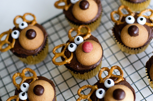 Rudolf Cupcakes! Awww