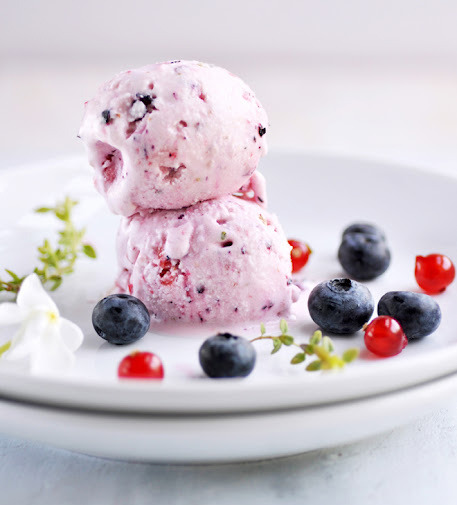 Berry Frozen Yogurt