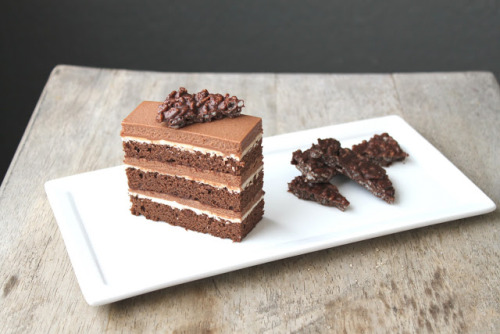 Chocolate Hazelnut Cake{by The Little Epicurean}