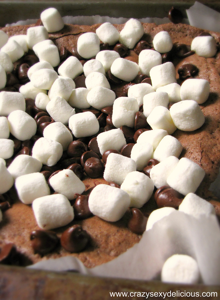 Marshmallow Chocolate Chip Brownies