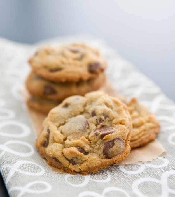 Recipe: Chocolate Chip Pudding Cookies